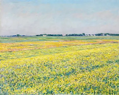 The Plain of Gennevilliers, Yellow Fields Gustave Caillebotte